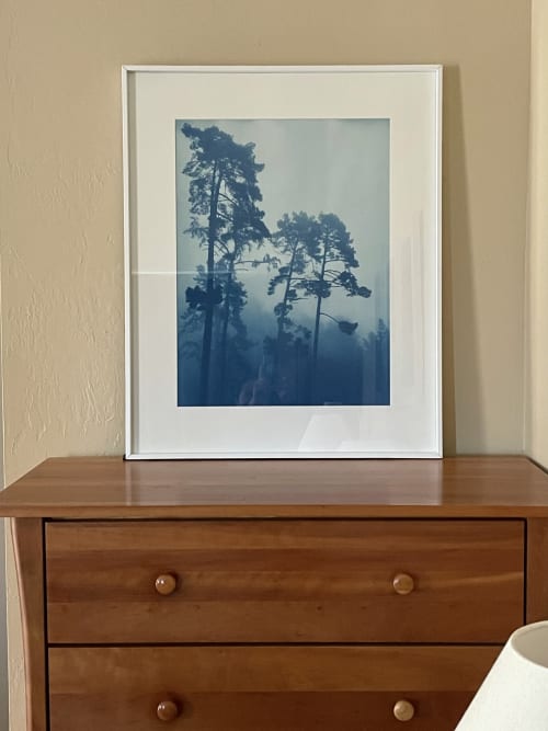 Foggy Morning Pines (18 x 24" Hand-Printed Cyanotype Photo) | Photography by Christine So