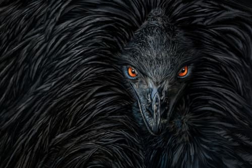 Penetrating | Photography by Judy Reinford