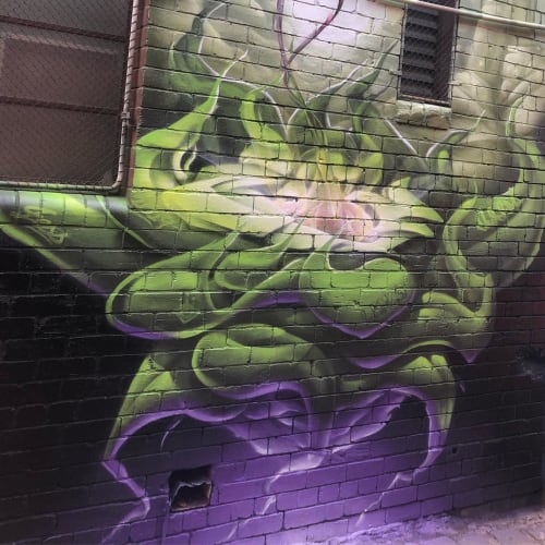 Blender Lane Mural | Street Murals by Chuck Mayfield | The Blender Studios in West Melbourne