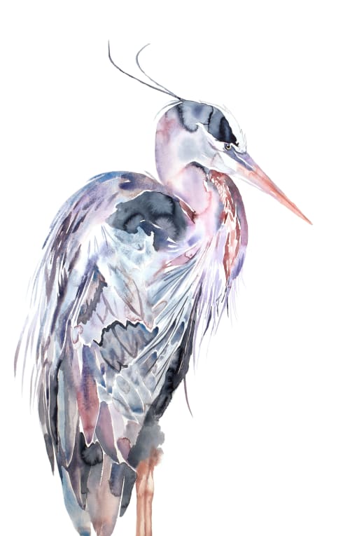 Heron No. 25 : Original Watercolor Painting | Paintings by Elizabeth Becker