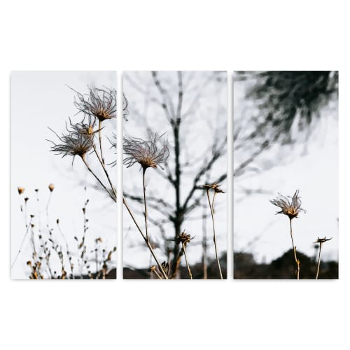 Stragglers | Triptych | Fine Art Print | Photography by Jess Ansik