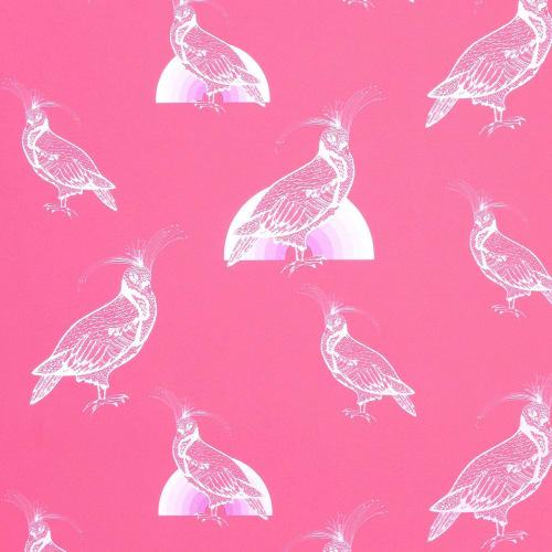 Glow Bows | Pink Lace On Hottie Pink | Wallpaper in Wall Treatments by Weirdoh Birds