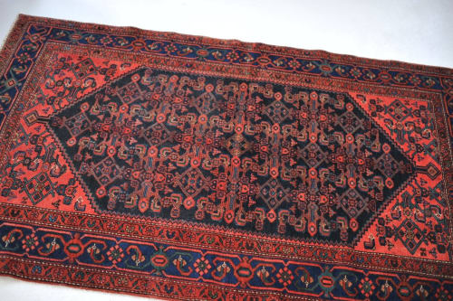 Nova | Area Rug in Rugs by The Loom House