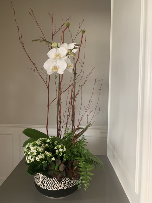 Stylish orchid arrangements | Floral Arrangements by Fleurina Designs