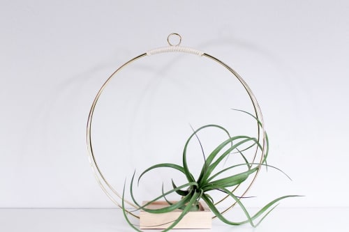 BRAID & WOOD Plant Hanger (Large) & (Medium) | Plants & Landscape by Braid & Wood Design Studio