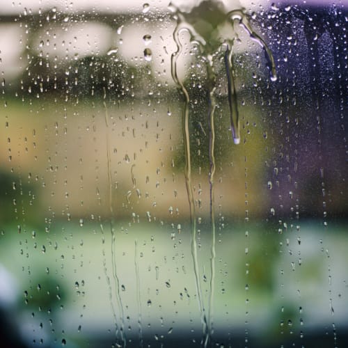 SUN 5, 20x20" | Oil And Acrylic Painting in Paintings by Carol Inez Charney | SF Decorator Showcase 2018 in San Francisco