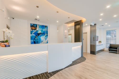Enigma Variations | Paintings by Olivia Collins Art and Design | Optima Healthcare Group in North Shore