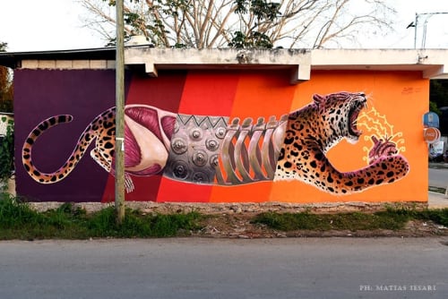 jaguar | Street Murals by Juan iesari