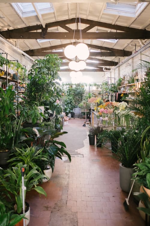 Flower Shop &amp; Plant Design Sprout by Home Curators seen at