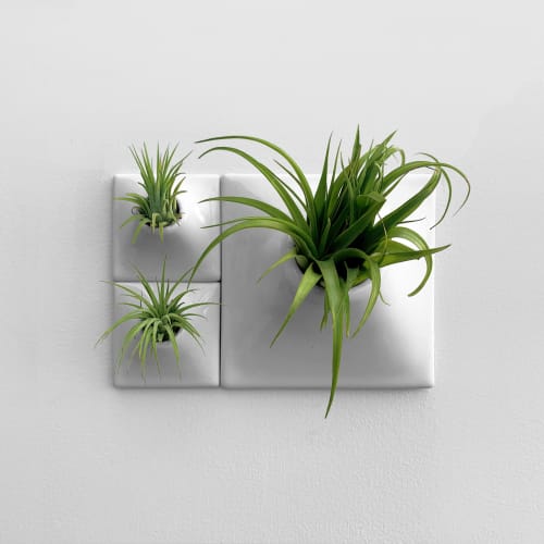 Node Ceramic Wall Planter Set of 3 - Living Wall Art | Plant Hanger in Plants & Landscape by Pandemic Design Studio