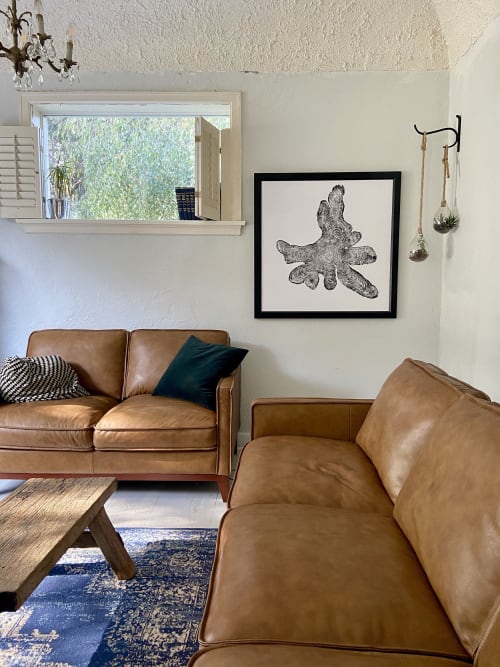 Adirondacks New York, Cypress Tree Ring Art Print | Prints by Erik Linton