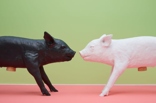 Bank in the Form of a Pig | Art & Wall Decor by Harry Allen Design