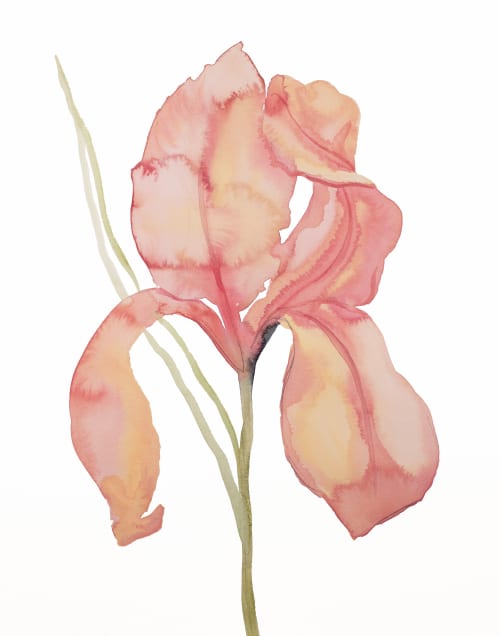 Iris No. 173 : Original Watercolor Painting | Paintings by Elizabeth Becker
