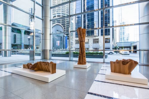 Lobby Installation | Public Sculptures by Barbara Cooper | 353 North Clark, Chicago, IL in Chicago