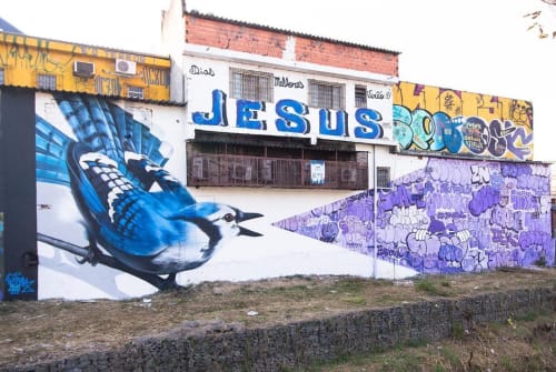 Blue Jay Mural | Street Murals by snek arte | West Side Gallery Itapevi in Centro
