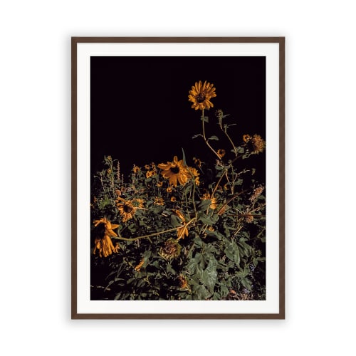 THE SUSANS (9"x12" - 36"x48") | Fine Art Print | Photography by Jess Ansik