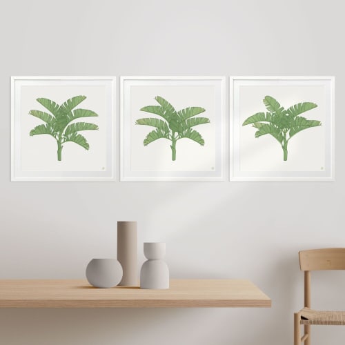 Tropical Plantation - 1 & 2 & 3 - Green - Framed Art | Art & Wall Decor by Patricia Braune