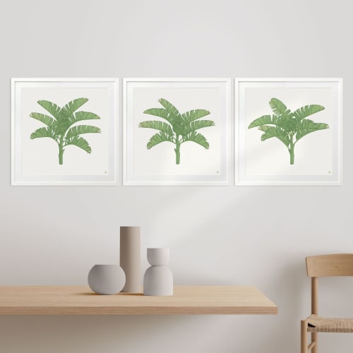 Tropical Plantation - 1 & 2 & 3 - Green - Framed Art | Prints by Patricia Braune