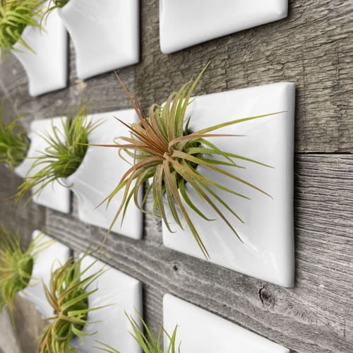 Node 3 Inch Ceramic Wall Planter Airplant Holder | Sculptures by Pandemic Design Studio