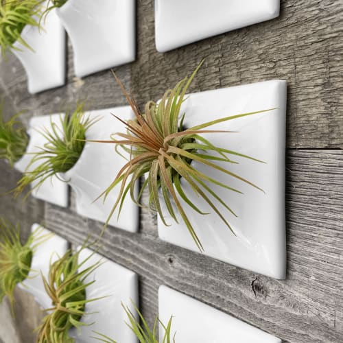 Modern Ceramic Wall Planter - Plant Wall Art - Node 3" | Plants & Landscape by Pandemic Design Studio