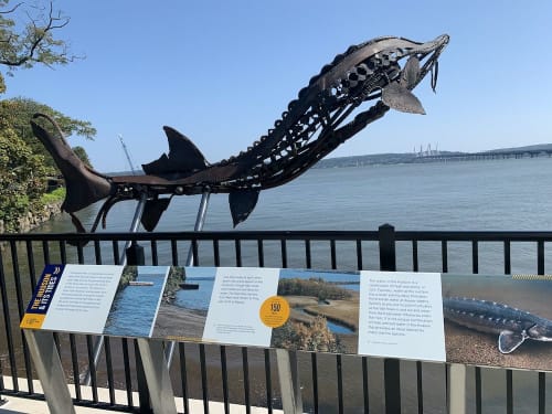 Leaping Sturgeon Commissioned for approach to Cuomo Bridge | Public Sculptures by Wendy Klemperer Art Inc