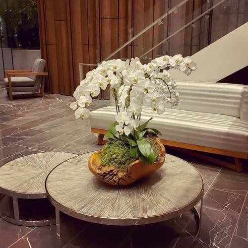 Organic modern orchid arrangement | Vases & Vessels by Botanika Interior Plantscapes | The Park Bankers Hill in San Diego