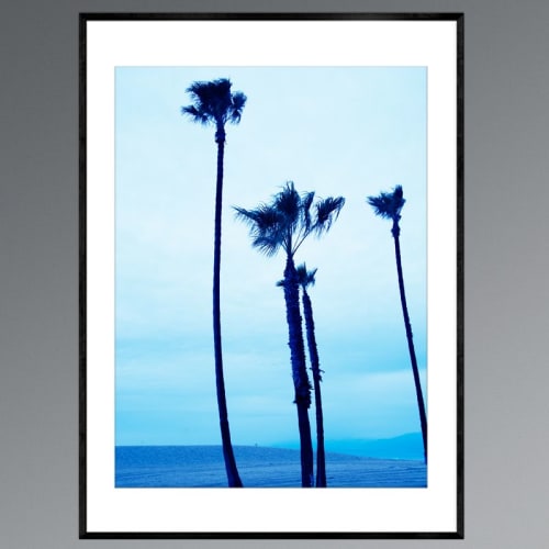 Venice Beach Blue Palmtrees II | Photography by Robert van Bolderick