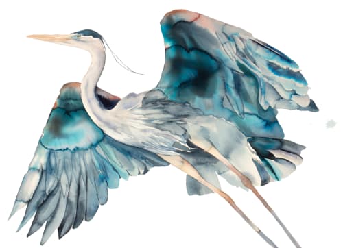 Heron No. 27 : Original Watercolor Painting | Paintings by Elizabeth Becker