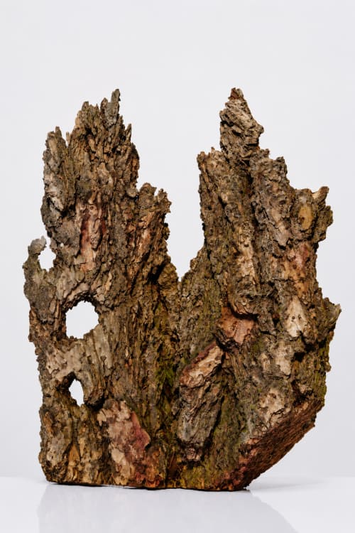 Arboreal Coral | Decorative Objects by Raulferc