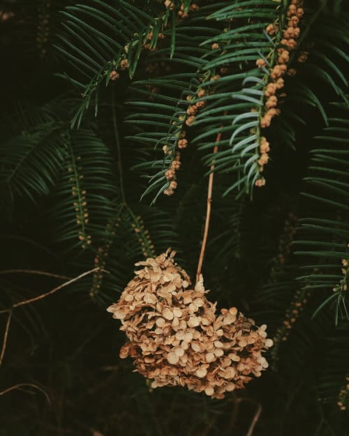 In Quiet Solitude 18 Print | Photography by Emily Tingey