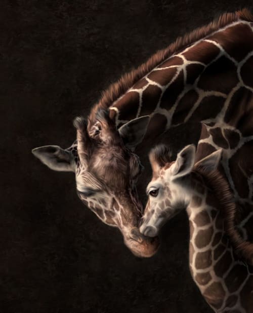 Tenderness | Photography by Judy Reinford