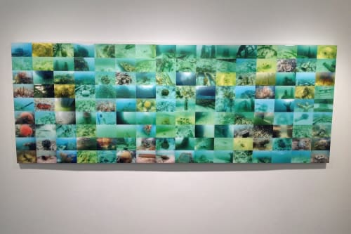 Underwater Photography | Photography by Gustavo Oviedo