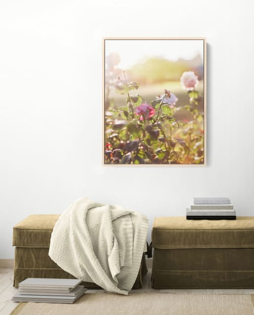 Pink Light Flora | Photography by Kara Suhey Print Shop