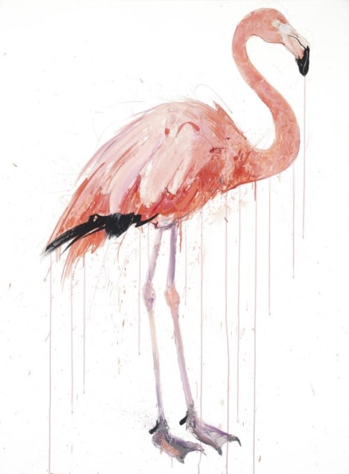 Flamingo | Paintings by Dave White