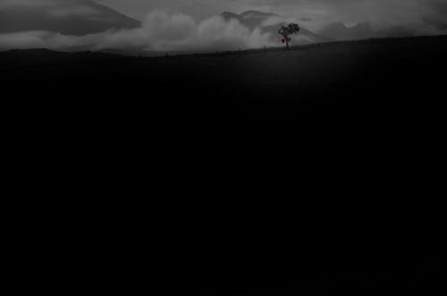 Resilience – Fine Art Photography | Photography by ANDRES GALAN