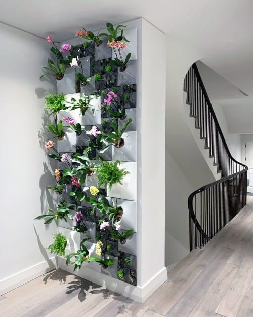 Modern Living Wall - Node Wall Planter | Plants & Landscape by Pandemic Design Studio