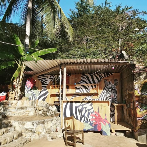 Zebra Mural | Murals by Oceane Isla | Congo Bar in Puerto Escondido