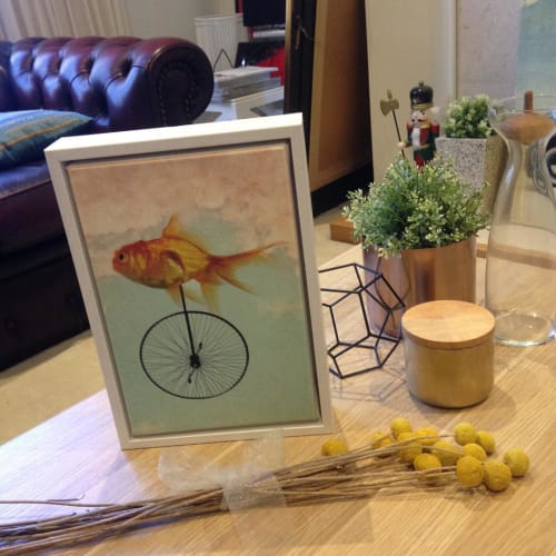 Unicycle Goldfish Art Print | Wall Hangings by Vin Zzep - Independant Art