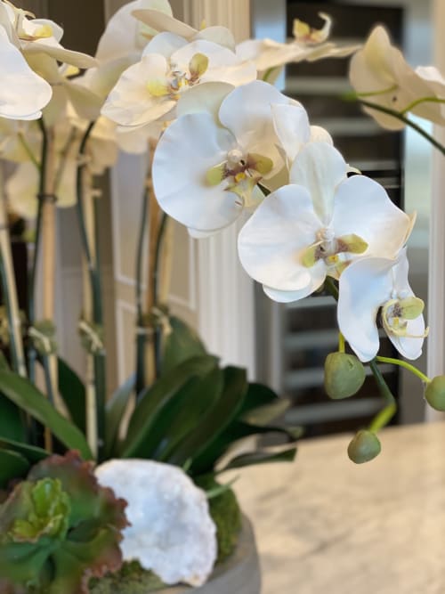 Silk Orchid Arrangement | Floral Arrangements by Fleurina Designs