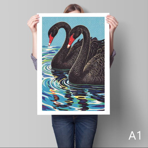Black Swans | Paintings by Paul Manwaring Fine Art Prints
