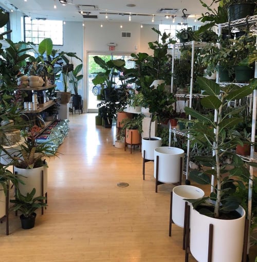 Revival Ceramics Planters | Vases & Vessels by LBE Design | Dennis' 7 Dees Garden Center in Portland