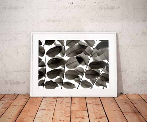Branches and Leaves I | Limited Edition Print | Photography by Tal Paz-Fridman | Limited Edition Photography
