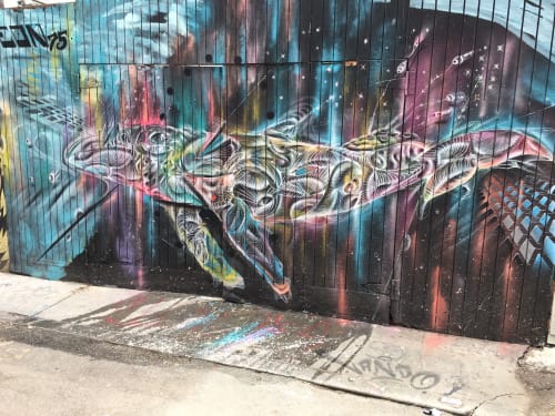Psychadelic Whales | Street Murals by Max Ehrman (Eon75) | Mission District, San Francisco in San Francisco