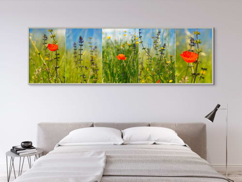 Wild Tuscany Quad #5376 Digital-only offering to Trade | Photography by Caroyl La Barge›