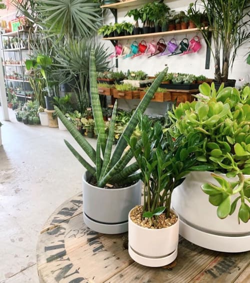 Round Two by Revival ceramics | Vases & Vessels by LBE Design | Lawrence & Clarke Cacti Co in Nashville