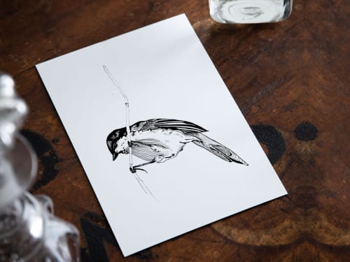 Marsh Tit | Prints by Chrysa Koukoura