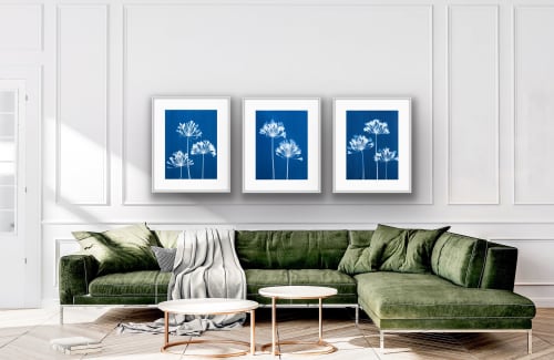 Eight Agapanthus Triptych: 3 handmade 18 x 24" cyanotypes | Photography by Christine So