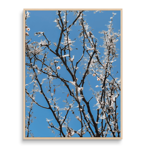 BY A THREAD (9"x12" - 36"x48") | Fine Art Print | Photography by Jess Ansik