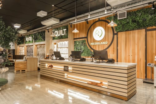 Mediland Auckland | Interior Design by Studio Hiyaku | MSD New Zealand in Auckland