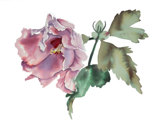 Hibiscus No. 8 : Original Watercolor Painting | Paintings by Elizabeth Becker